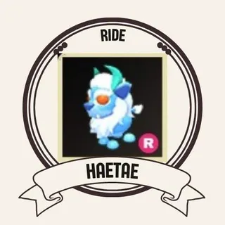 RIDE HAETAE