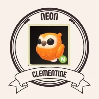 NEON CLEMENTINE OWL