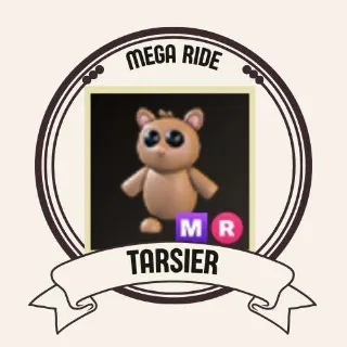 MR TARSIER