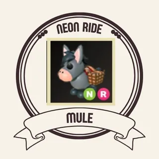 NR MULE