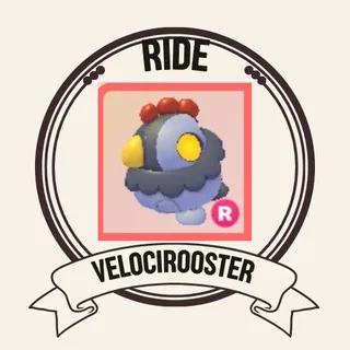 R Velocirooster