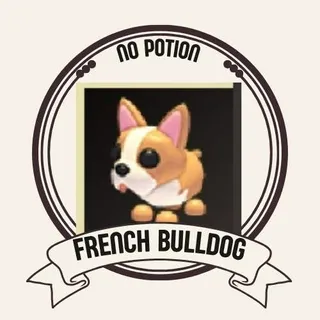 FRENCH BULLDOG