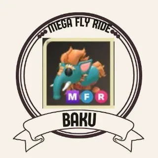 MFR BAKU