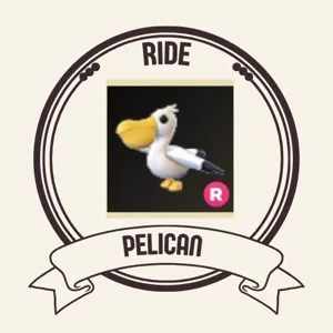 r pelican