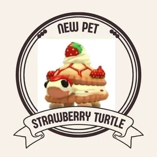 STRAWBERRY TURTLE