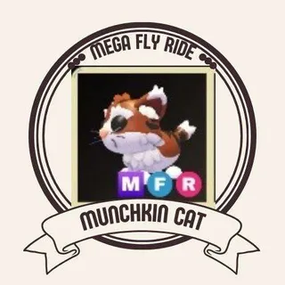 MFR MUNCHKIN CAT
