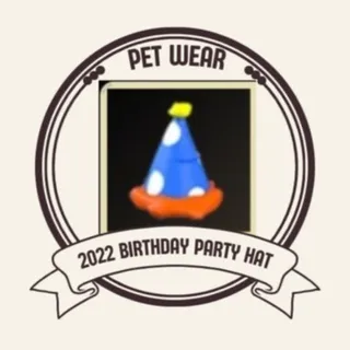 2022 Birthday Party Hat
