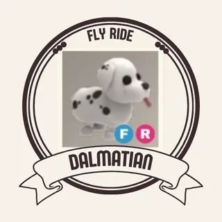 FR DALMATIAN