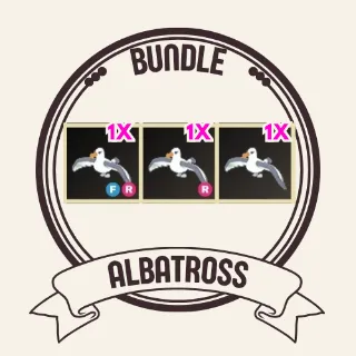 3x albatross