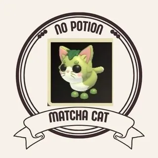 MATCHA CAT