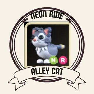 NR ALLEY CAT