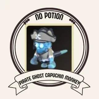 Pirate Ghost Capuchin Monkey