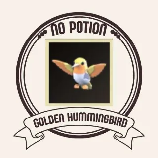 GOLDEN HUMMINGBIRD