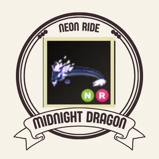 NR MIDNIGHT DRAGON