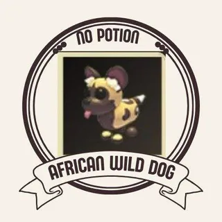 AFRICAN WILD DOG (NO TRICKS)