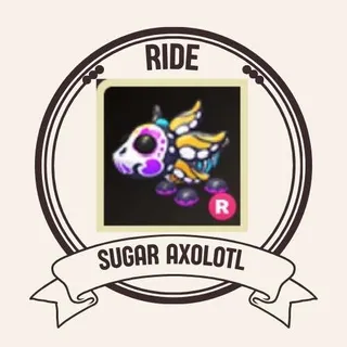 R SUGAR AXOLOTL