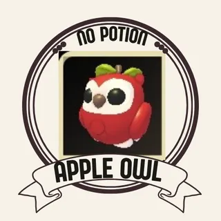 APPLE OWL