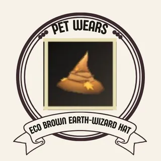 ECO BROWN EARTH-WIZARD HAT