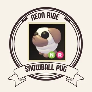 NR SNOWBALL PUG