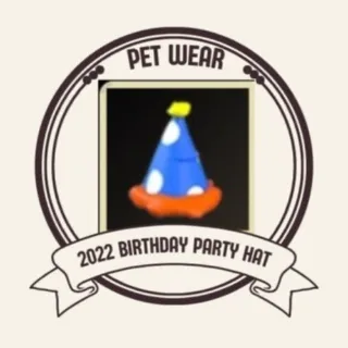 2022 Birthday Party Hat