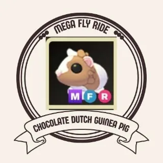 MFR CHOCOLATE DUTCH GUINEA PIG