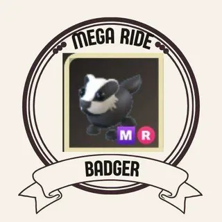 MR BADGER