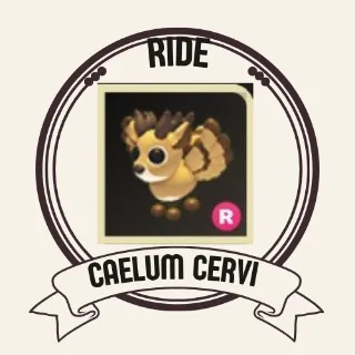 RIDE CAELUM CERVI