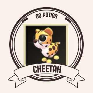 CHEETAH
