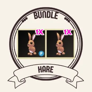 2x hare