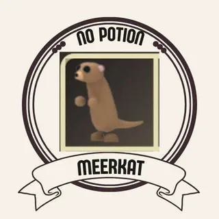 MEERKAT