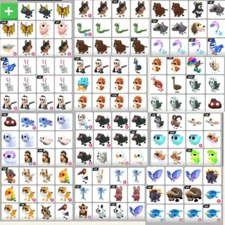 RARE BUNDLE PETS