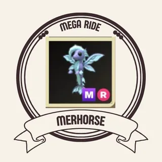 mr merhorse