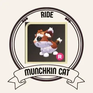 RIDE MUNCHKIN CAT