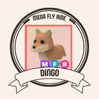 MFR DINGO