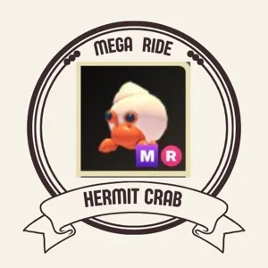MR HERMIT CRAB
