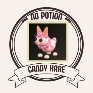 CANDY HARE