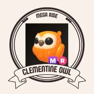 MR CLEMENTINE OWL