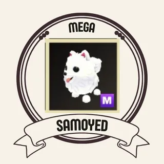 M SAMOYED