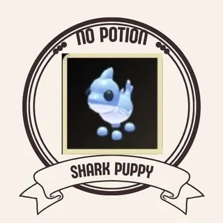 SHARK PUPPY