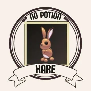 HARE
