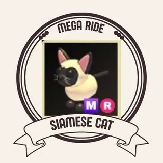 MEGA SIAMESE CAT