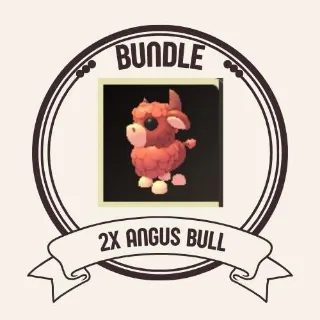 2x angus bull
