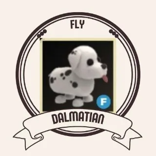 DALMATIAN