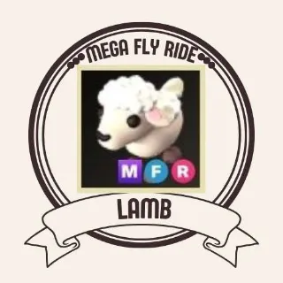 mfr lamb