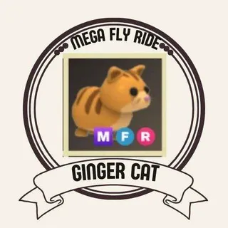 MFR GINGER CAT