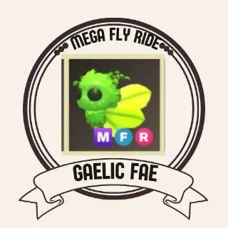 MFR GAELIC FAE