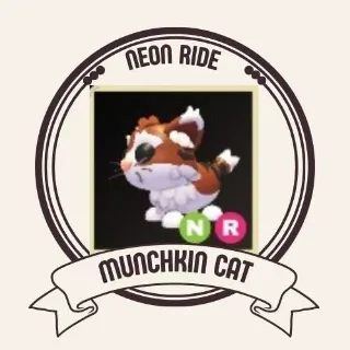 NEON MUNCHKIN CAT