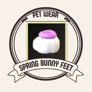 Spring Bunny Shoes