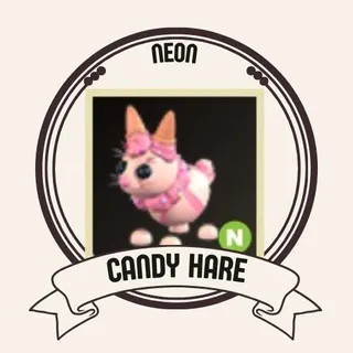 NEON CANDY HARE