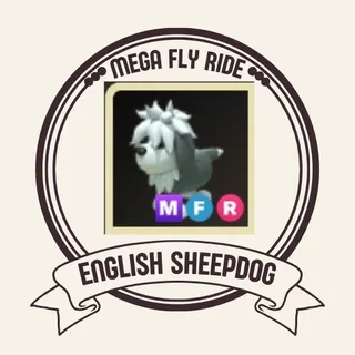 MFR ENGLISH SHEEPDOG